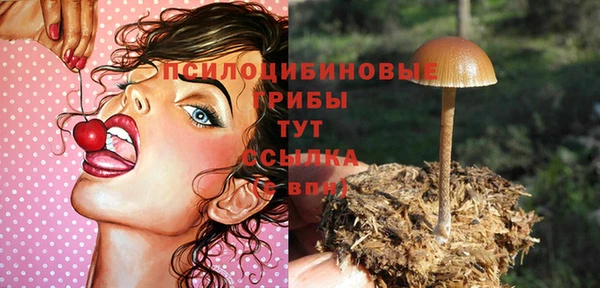 дживик Балахна